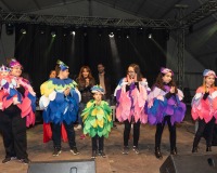 Carnavales de Getafe
