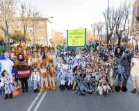 Carnavales de Getafe