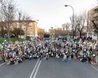 Carnavales de Getafe