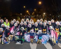 Carnavales de Getafe