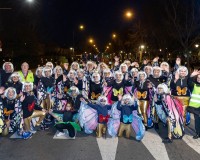 Carnavales de Getafe