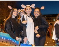 Desfile-de-Murgas-Carnaval2023_274