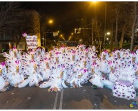 Desfile-de-Murgas-Carnaval2023_417