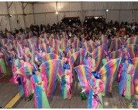 Murgas-en-la-carpa-y-murgas-premiadas_069