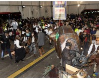 Murgas-en-la-carpa-y-murgas-premiadas_081