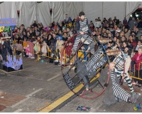 Murgas-en-la-carpa-y-murgas-premiadas_116