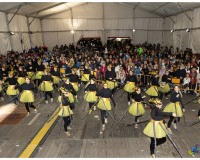 Murgas-en-la-carpa-y-murgas-premiadas_129