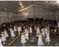 Murgas-en-la-carpa-y-murgas-premiadas_137
