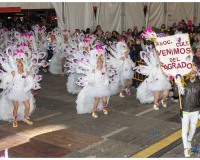 Murgas-en-la-carpa-y-murgas-premiadas_150