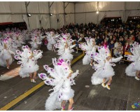 Murgas-en-la-carpa-y-murgas-premiadas_151
