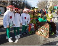 012_Desfile-Carnaval-de-Getafe-2024_012