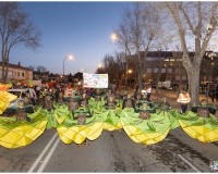 280_Desfile-Carnaval-de-Getafe-2024_280