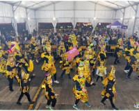 415_Desfile-Carnaval-de-Getafe-2024_415