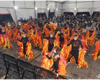 583_Desfile-Carnaval-de-Getafe-2024_583