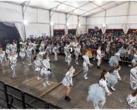 616_Desfile-Carnaval-de-Getafe-2024_616