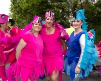 Desfile-de-Murgas-0074