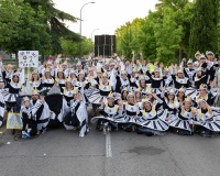 Desfile-de-Murgas-0282