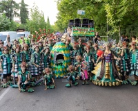 Desfile-de-Murgas-0284