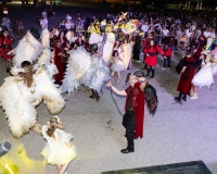 Desfile-de-Murgas-0501
