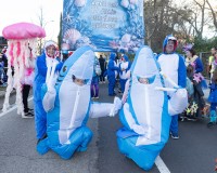 107_Sabado-Desfile-de-Murgas