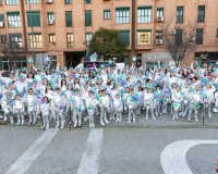 182_Sabado-Desfile-de-Murgas