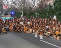 220_Sabado-Desfile-de-Murgas