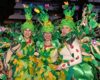 235_Sabado-Desfile-de-Murgas