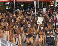 352_Sabado-Desfile-de-Murgas