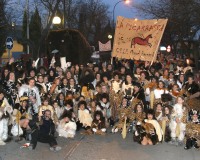Carnavales de Getafe