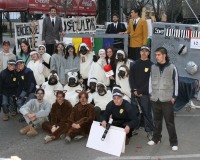 Carnavales de Getafe