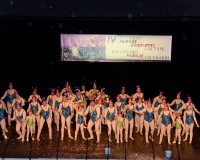 Carnavales de Getafe
