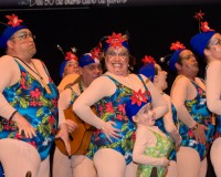 Carnavales de Getafe