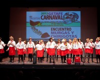 Carnavales de Getafe