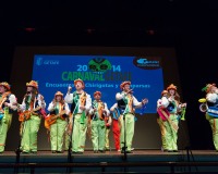 Carnavales de Getafe