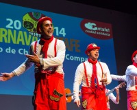 Carnavales de Getafe