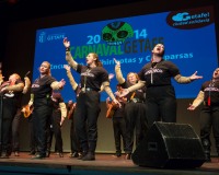 Carnavales de Getafe