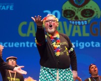 Carnavales de Getafe