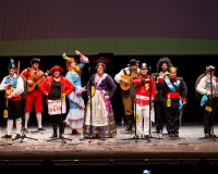 Encuentro-Comparsas-y-Chirigotas-2015_647