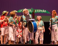 Encuentro-Comparsas-y-Chirigotas-2015_678
