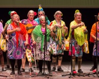 Encuentro-Comparsas-y-Chirigotas-2015_705