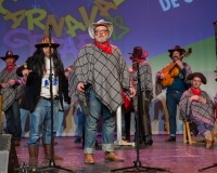 Carnavales de Getafe