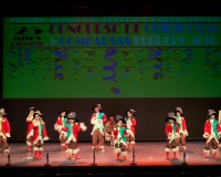 Carnavales de Getafe