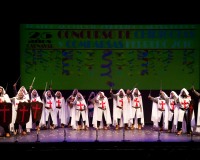 Carnavales de Getafe