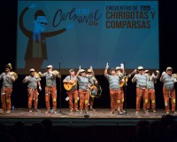 Carnavales de Getafe