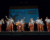 Carnavales de Getafe