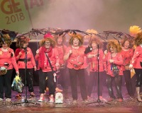 Encuentro-Comparsas-y-Chirigotas-Carnaval-2018_456