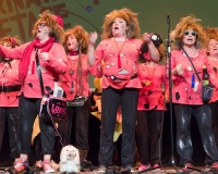 Encuentro-Comparsas-y-Chirigotas-Carnaval-2018_459