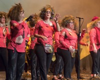 Encuentro-Comparsas-y-Chirigotas-Carnaval-2018_469