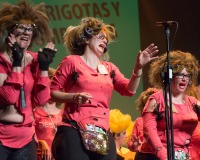 Encuentro-Comparsas-y-Chirigotas-Carnaval-2018_470