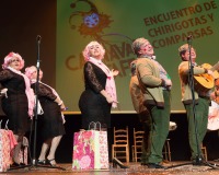 Encuentro-Comparsas-y-Chirigotas-Carnaval-2018_487